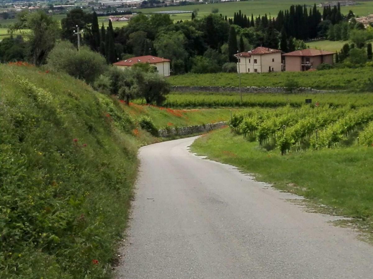 B&B Corte Giare SantʼAmbrogio di Valpolicella Eksteriør bilde