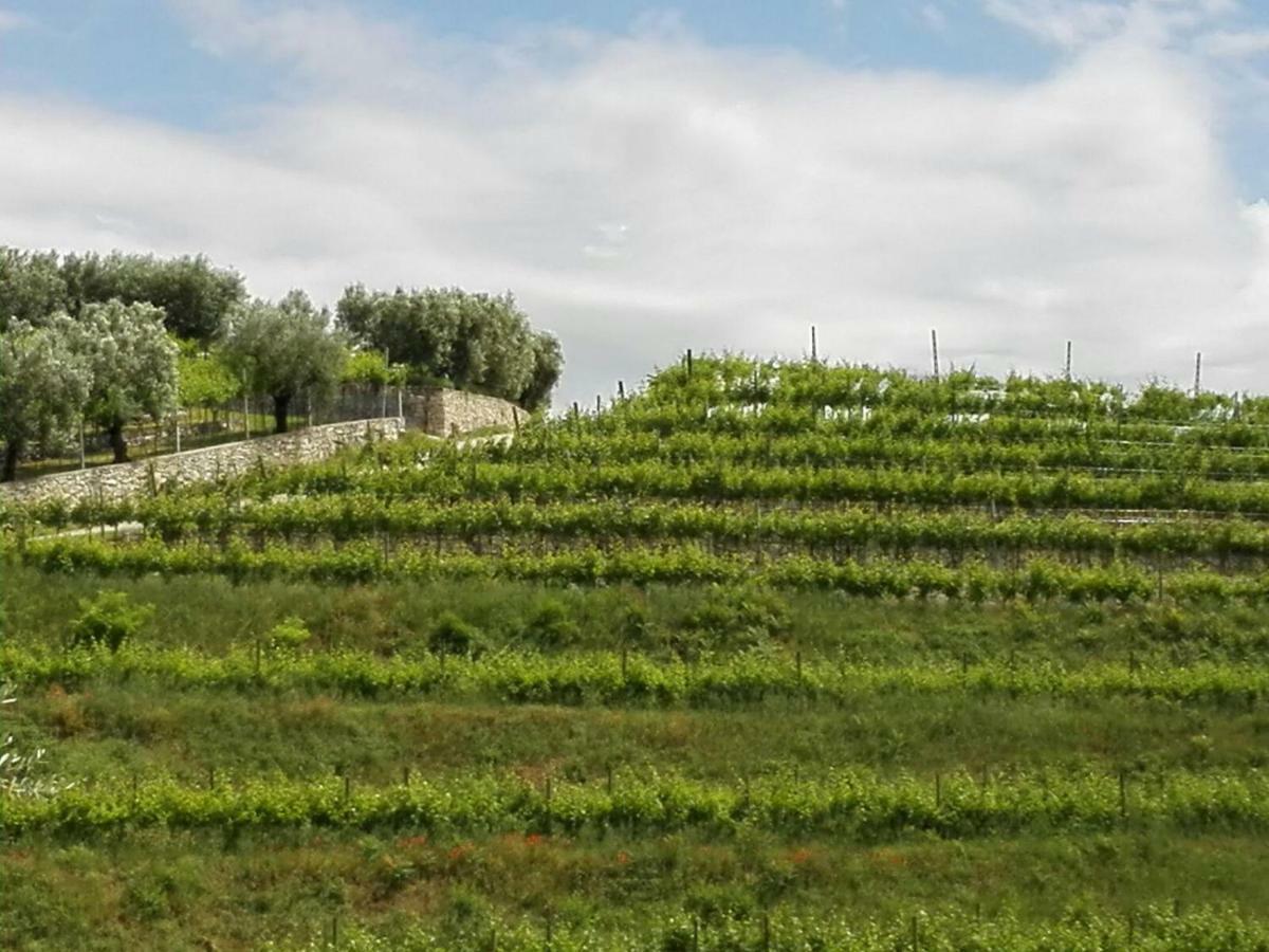 B&B Corte Giare SantʼAmbrogio di Valpolicella Eksteriør bilde